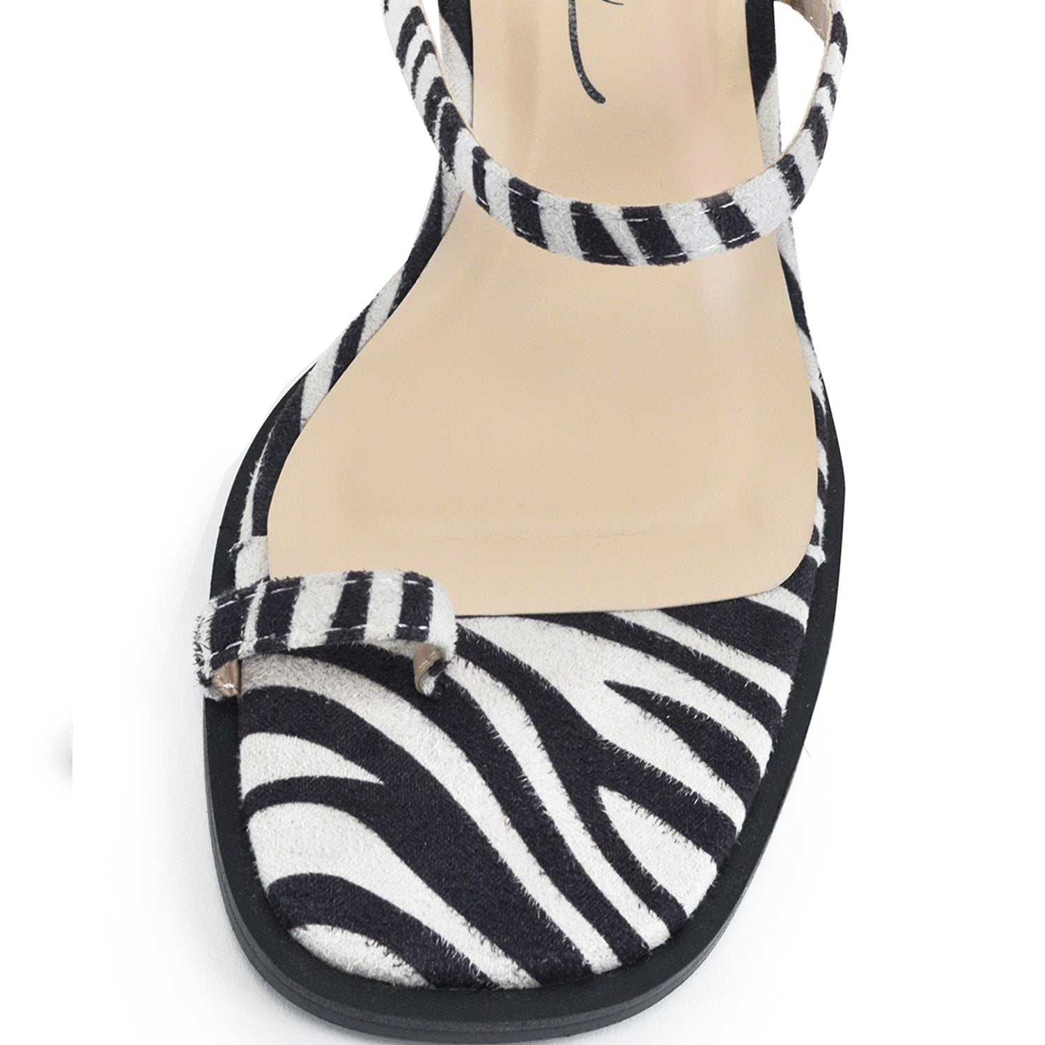 Willie - Zebra